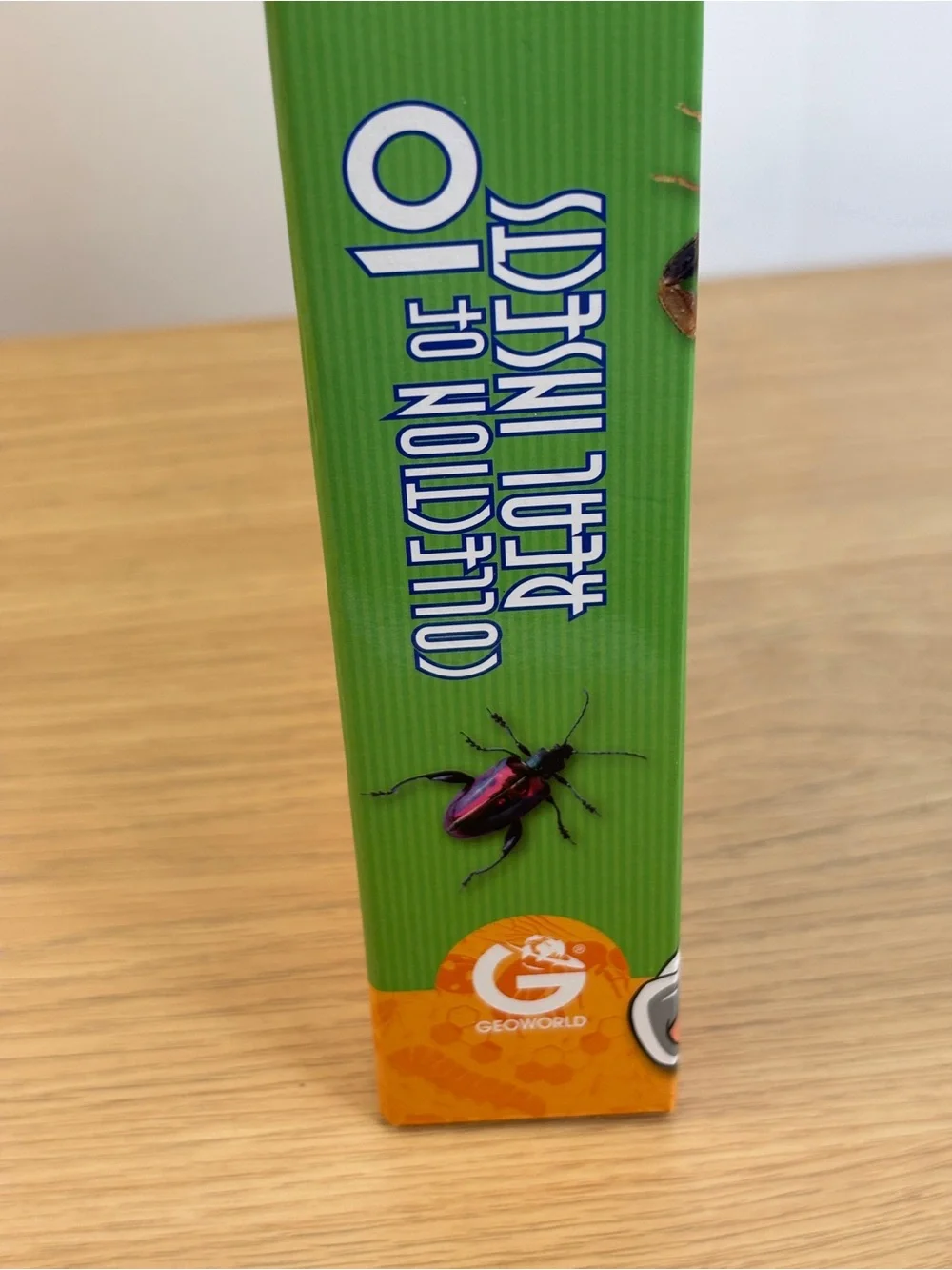 Dr. Steve Hunters Bug's World Collection - Entomology Set NEW!